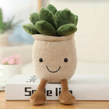 ToyalFriends 25cm Succulent Plant Plush Toy