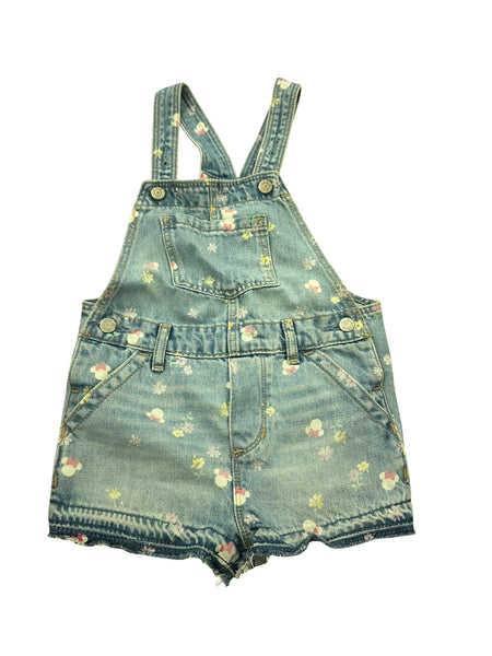Baby GAP - Size 5