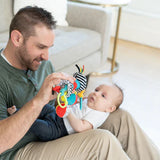 Manhattan Toy's Wimmer Zaggles Infant Development