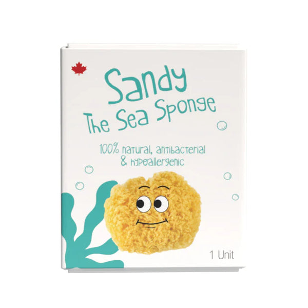 Loot Toys Sandy The Sea Sponge