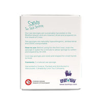 Loot Toys Sandy The Sea Sponge