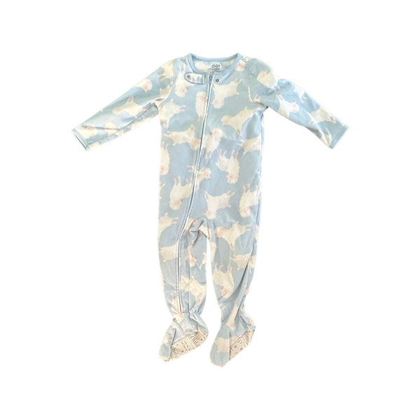 Carter’s - Size 2T