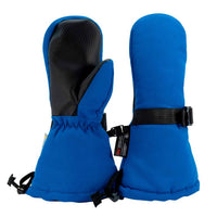 Blue Toasty Dry Waterproof Mitten